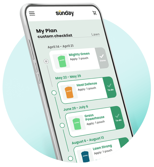 Plan checklist on phone app