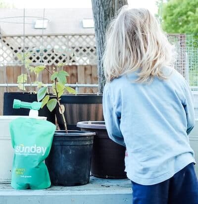 A young blond child tends to a potted sapling before planting it.