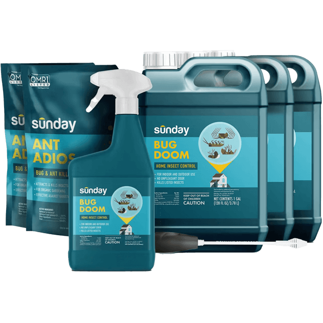 A group of Sunday pest control products