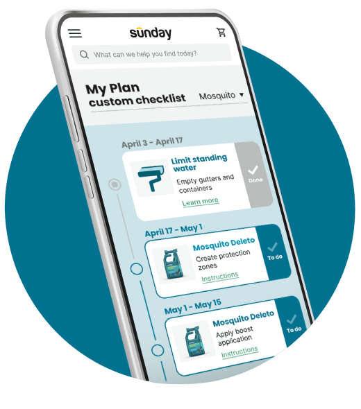 My plan checklist on cellphone