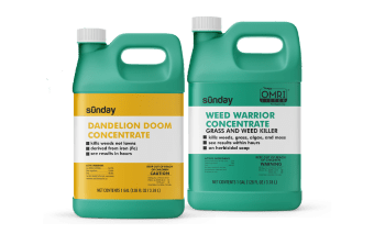 Dandelion Doom and Weed Warrior