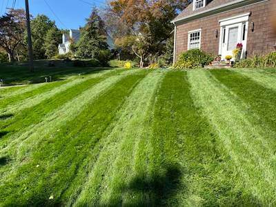 Sunday Lawn Care