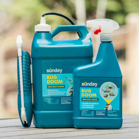 Sunday pest control products on a deck