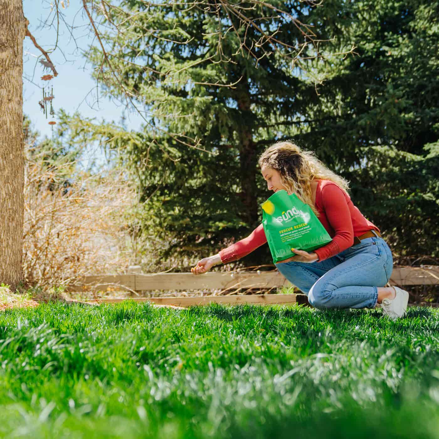 Woman spreading Sunday seeds