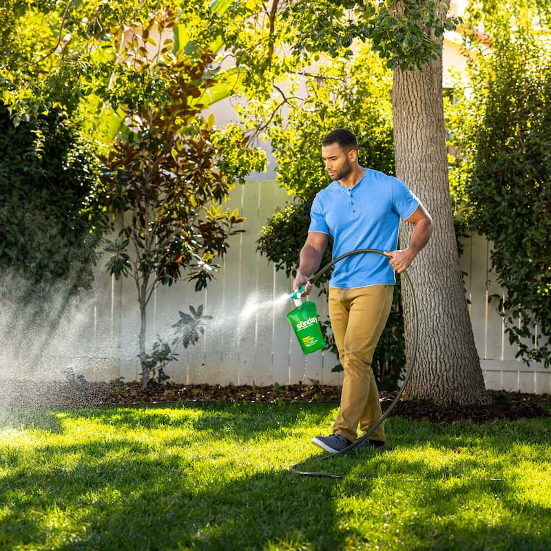 Man watering lawn with Sunday