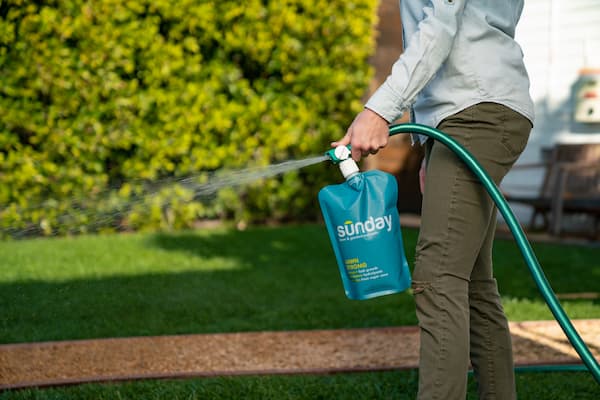Fertilizing lawn with Sunday