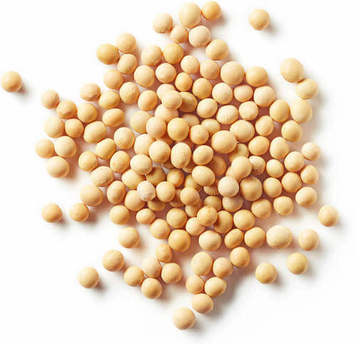 Soy beans