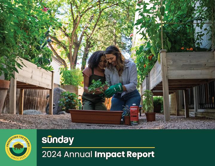 Sunday annual report cover
